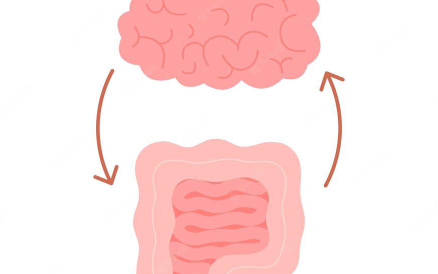 Gut Brain Connection