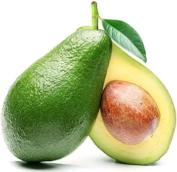 Avocado : the emerging health trailblazer