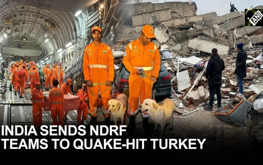 Lessons from the Turkey Earthquake. Can we be better prepared for such an eventuality?